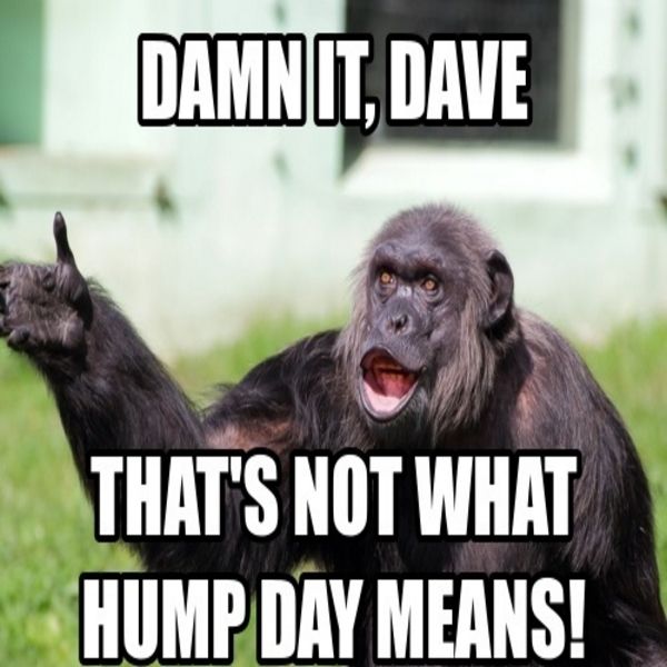 Image result for humpday