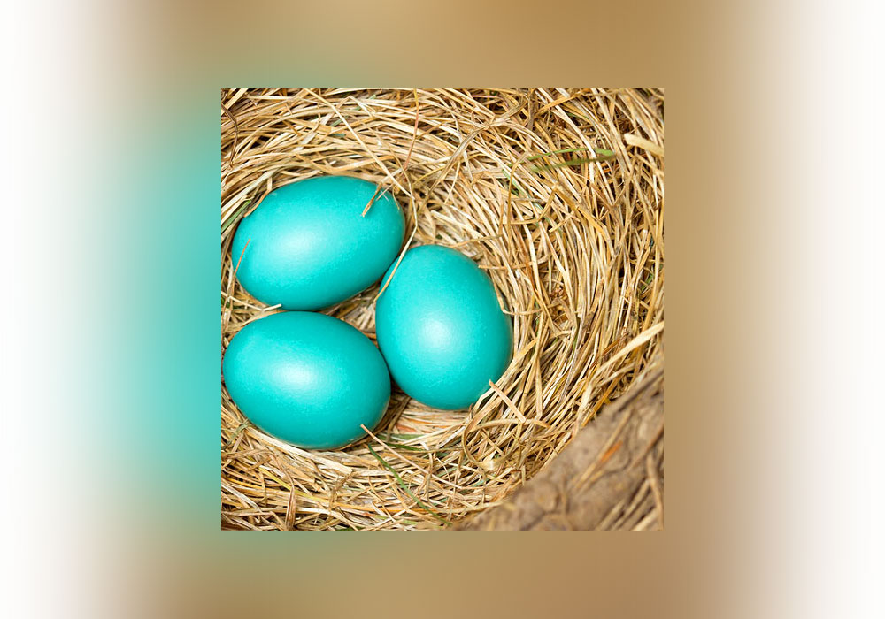 The Other Easter Eggs Coded Messages And Hidden Treats