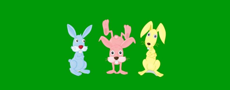 Bunny vs. Rabbit vs. Hare: What's The Difference? 