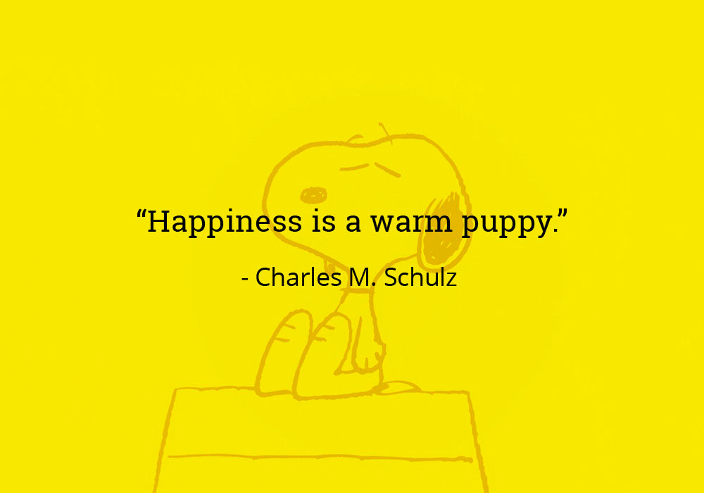 Quotes That Will Lift Your Spirits - Everything After Z by Dictionary.com