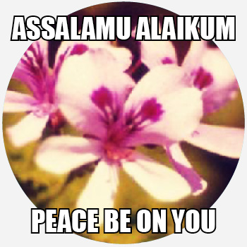 Selamu arabic es alaikum arabic