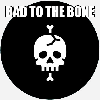 Image result for bad to the bone