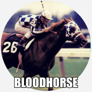 bloodhorse