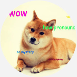 Doge Dictionary Com