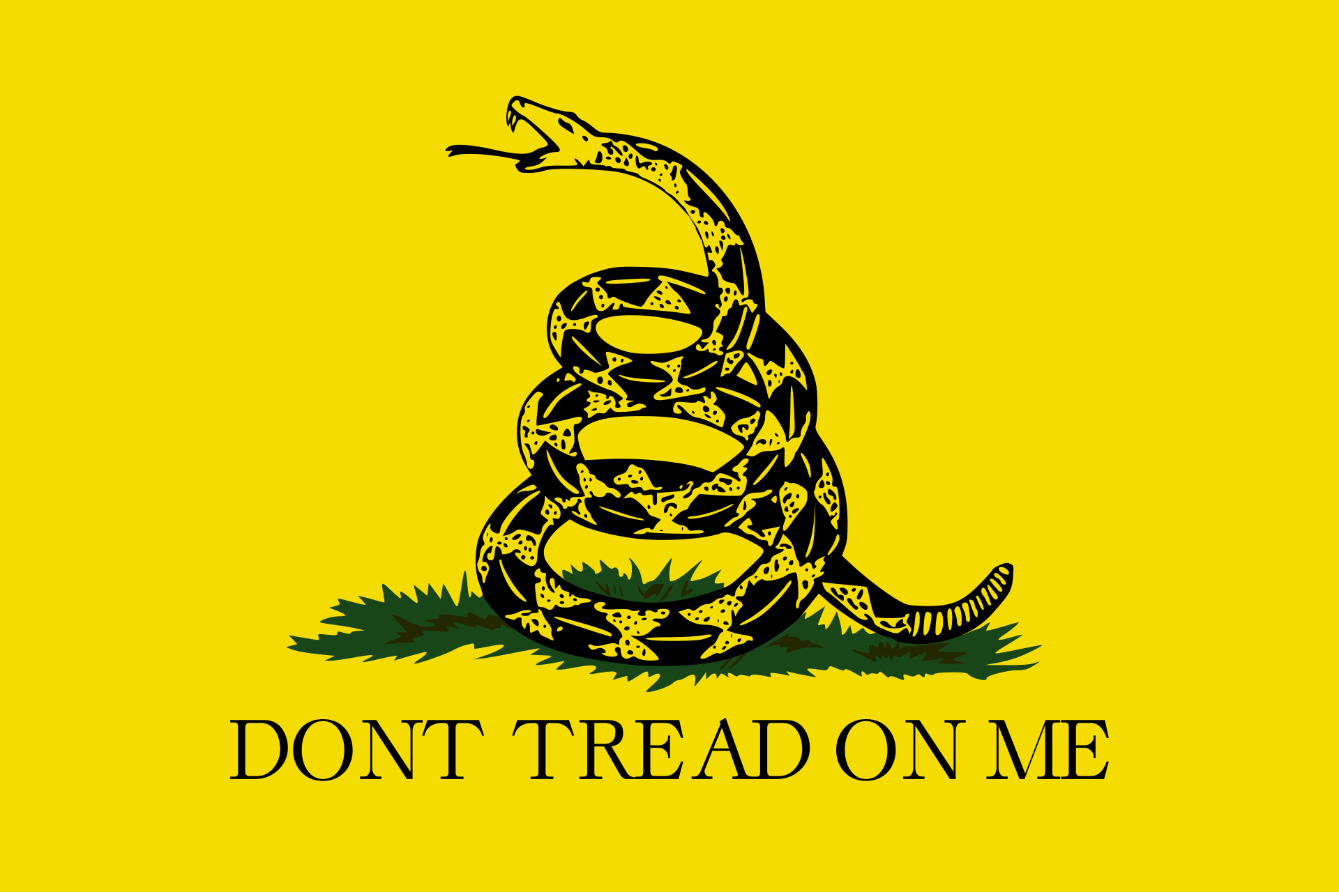 https://www.dictionary.com/e/wp-content/uploads/2018/03/dont-tread-on-me.png