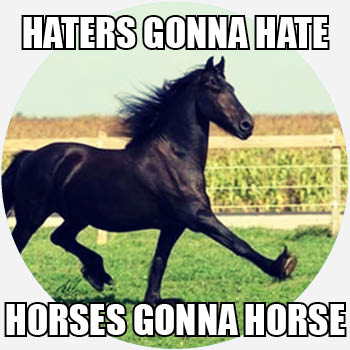 haters gonna hate – Dictionary.com