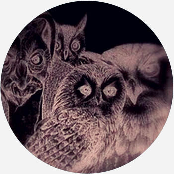 lechuza owl witch