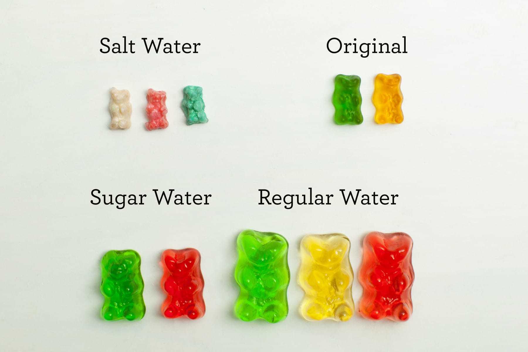 Gummy Bear Song Meaning & Origin