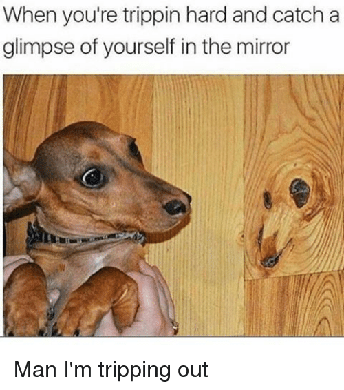 trippin' Meaning & Origin Slang by