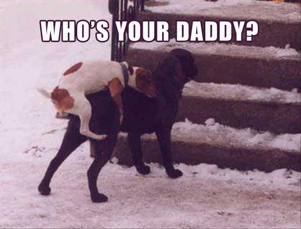 Whos Your Daddy Meaning And Origin Slang By