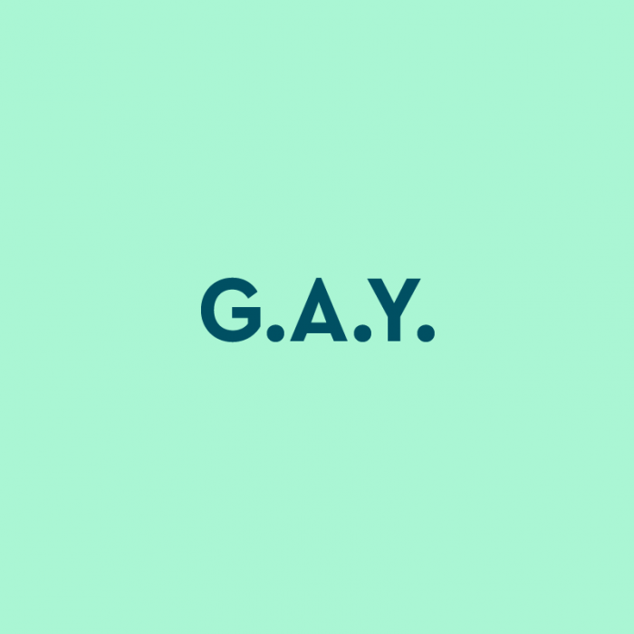 What Does 'G.A.Y.' Mean? Acronyms by