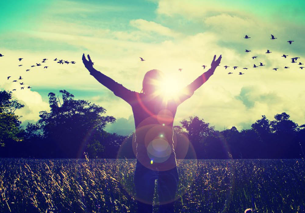 What Does Carpe Diem Mean Translations By Dictionary