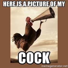 What Is Cock