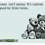 Irish Twins Dictionary Com