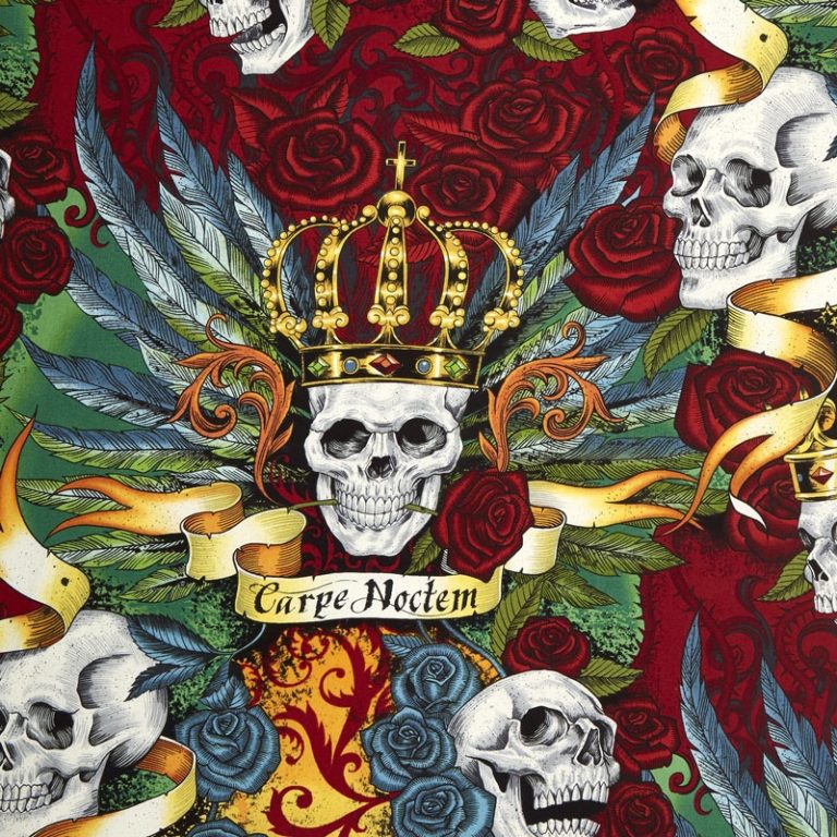 carpe noctem Meaning Translations by