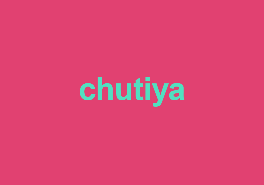 What Does Chutiya Mean? | Translations by Dictionary.com