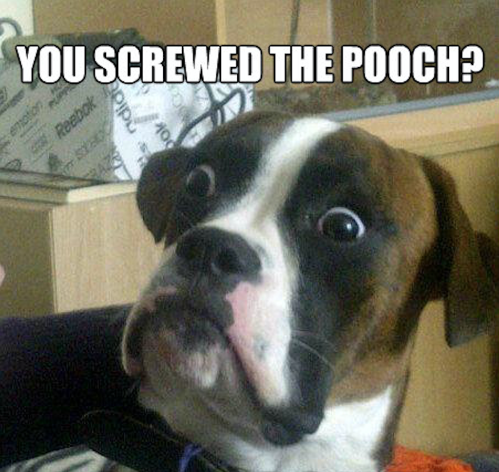 screw the pooch Meaning & Origin Slang by