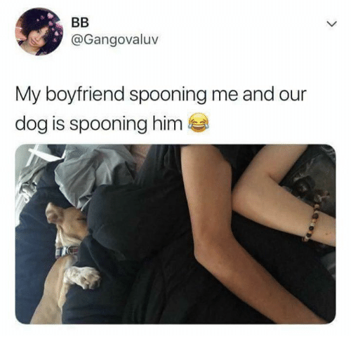 Where does spooning come from? 