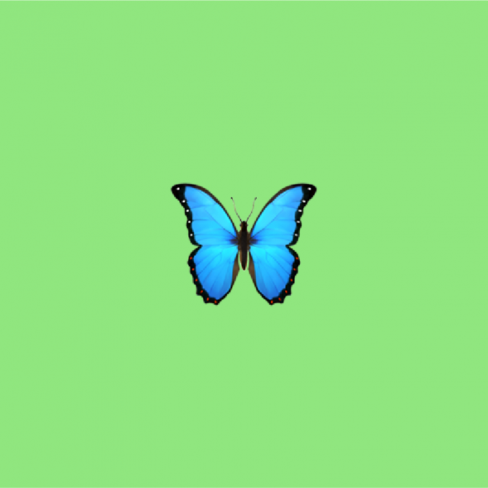 🦋 Butterfly emoji Meaning
