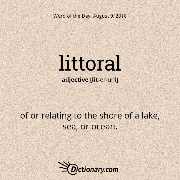 Decorous Meaning Two Birds Home