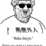 Baka Gaijin Dictionary Com