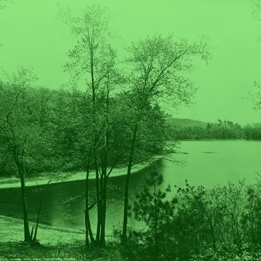 lake, shore, and trees with a light green filter and background.