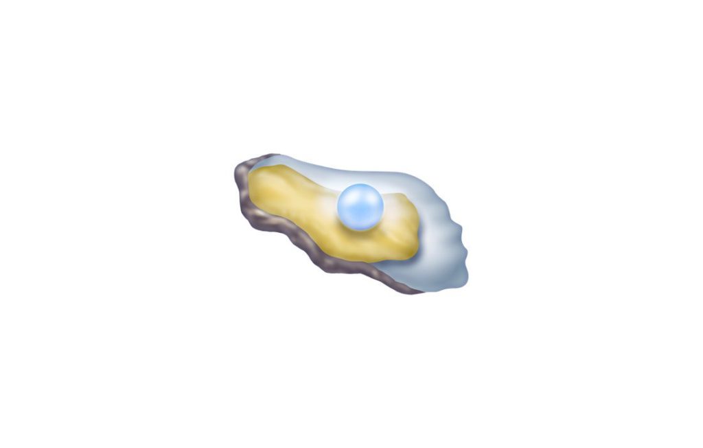 🦪 Oyster emoji Meaning