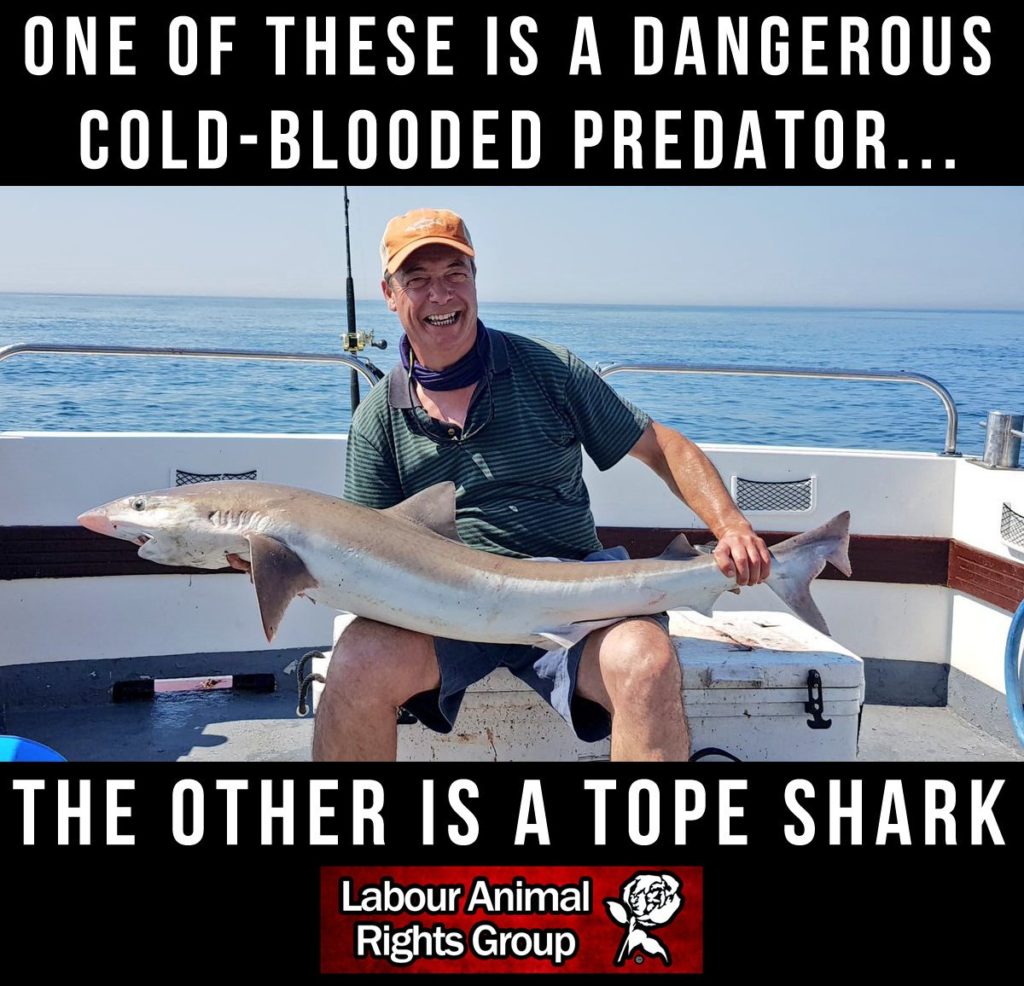 Tope Meaning Pop Culture by