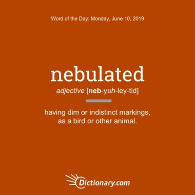 Word Of The Day Nebulated Dictionary Com