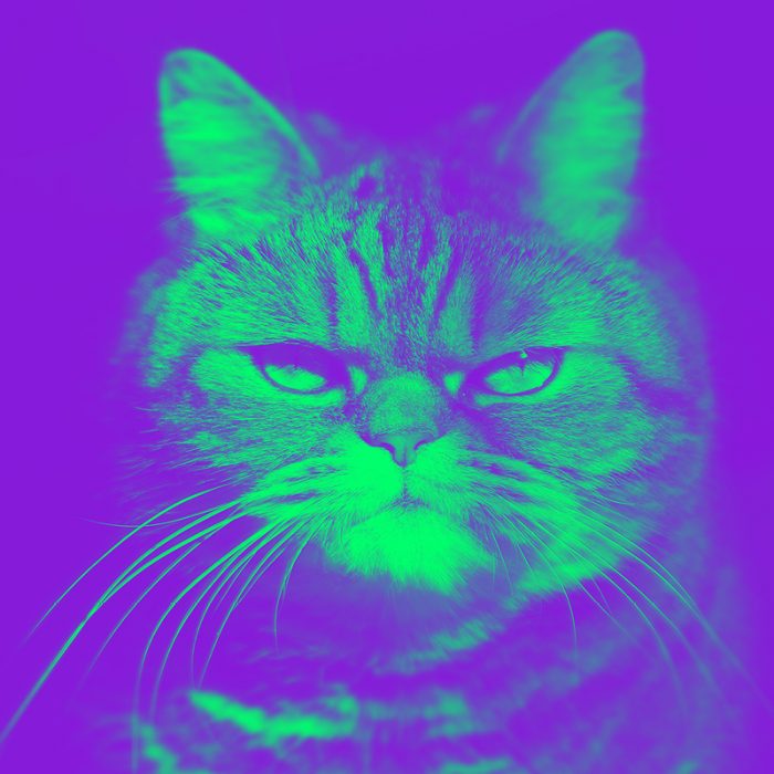 cat tax Meaning Pop Culture by