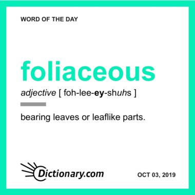 Word of the Day - foliaceous | Dictionary.com