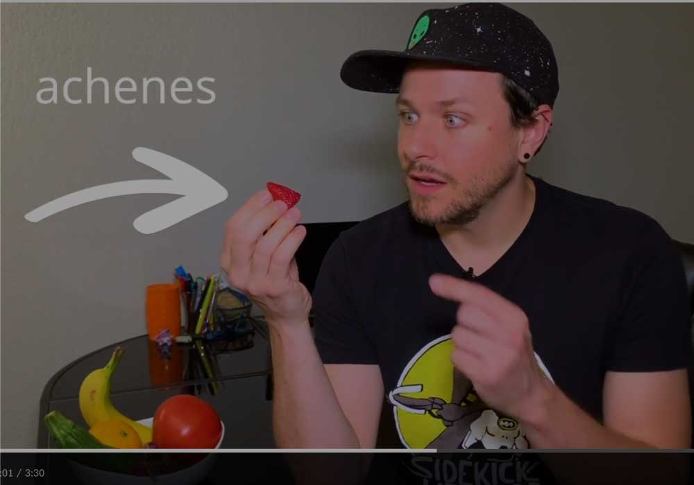 Are These Foods Fruits, Vegetables, Or Berries? Everything After Z by