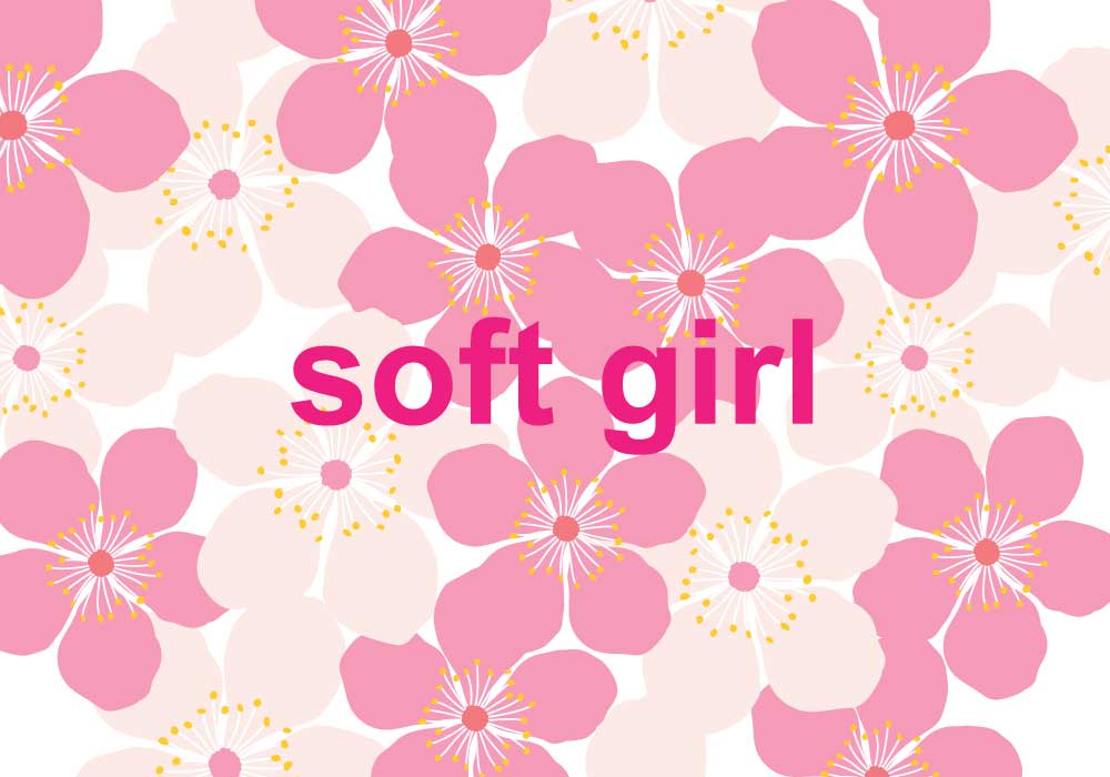 Soft Girl Dictionary Com