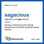 Word Of The Day Sagacious Dictionary Com