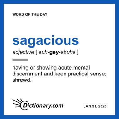 Word of the Day - sagacious | Dictionary.com