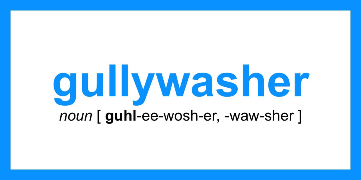 Word of the Day gullywasher