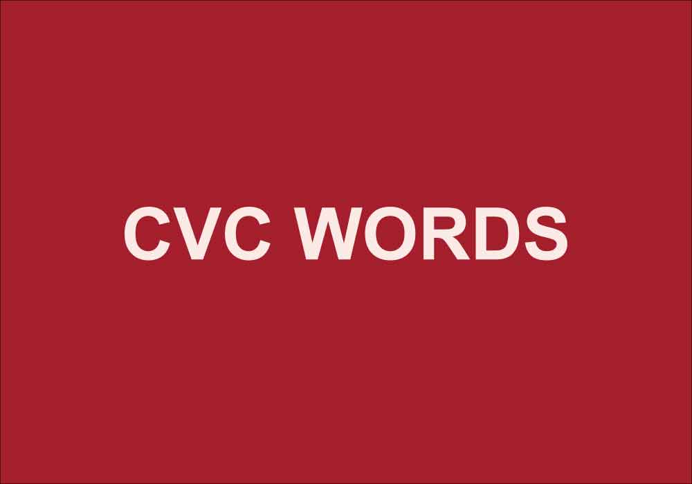 Words To Know When You re Raising A Reader Dictionary