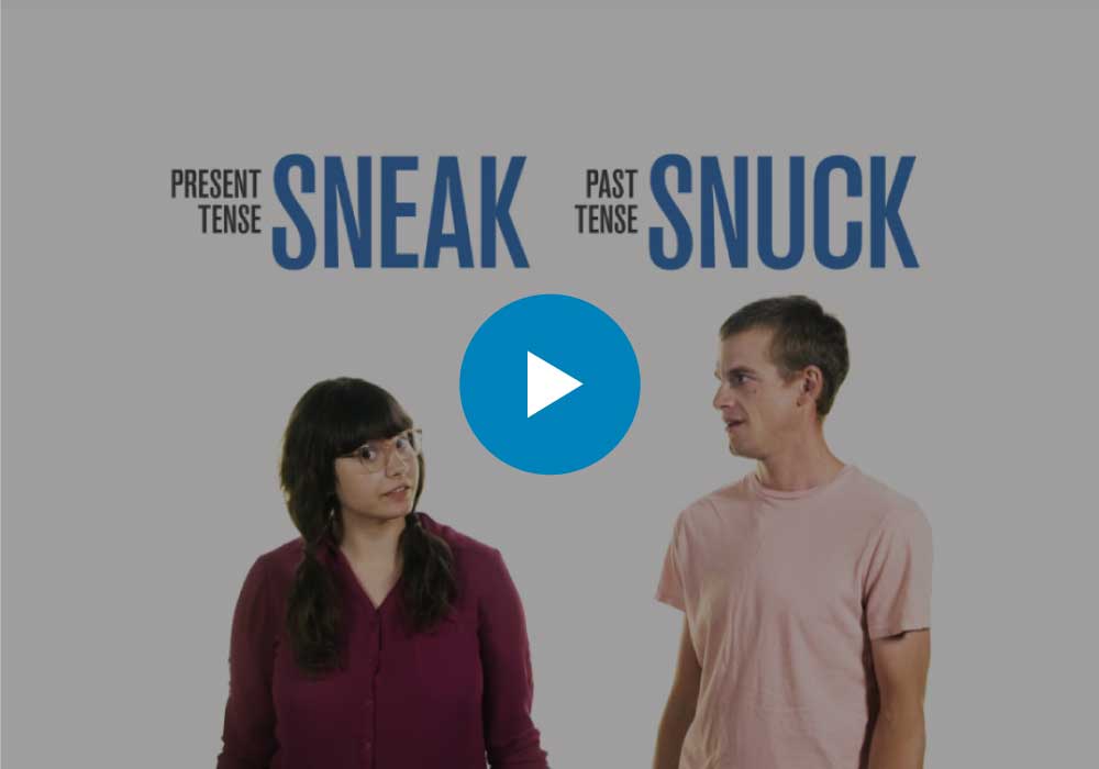 Understanding Regular vs. Irregular Verbs | Thesaurus.com