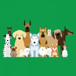 Where Did The World’s Most Popular Pet Names Come From?