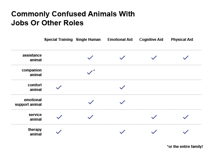 Emotional Support Animal vs. Therapy Animal vs. Service Animal