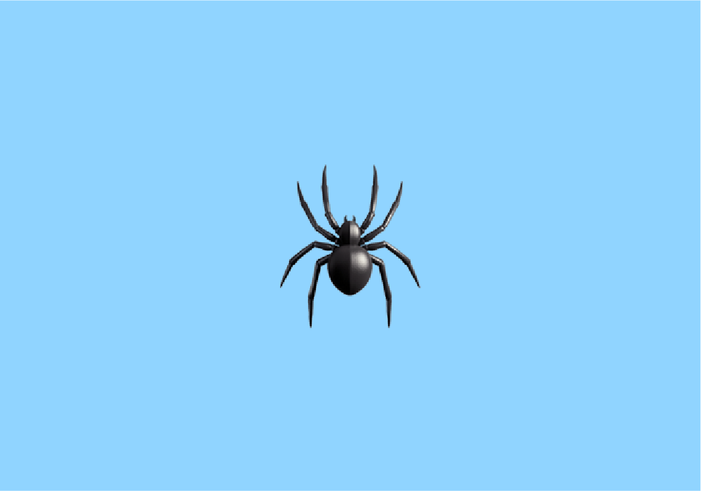 australian clock spider