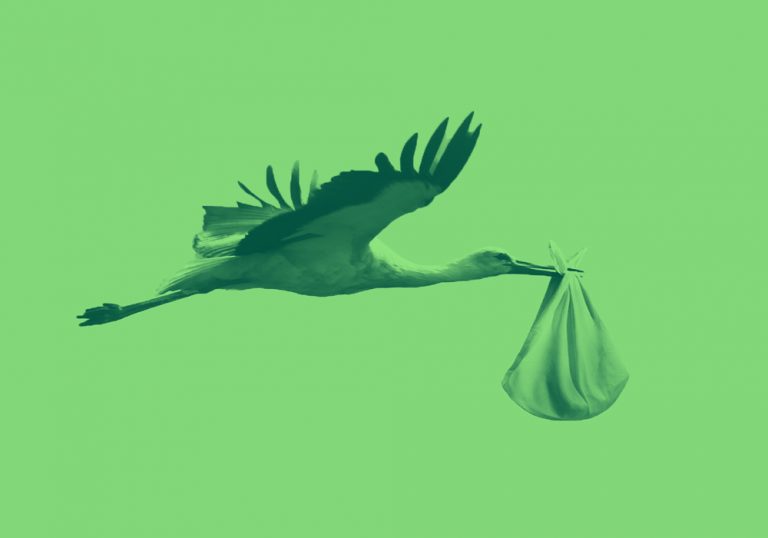 stork carrying a baby bundle, on a green background.