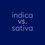 “Indica” vs. “Sativa”: There Is A Difference