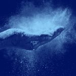 What Makes Holi The Most Colorful Event Of The Year?