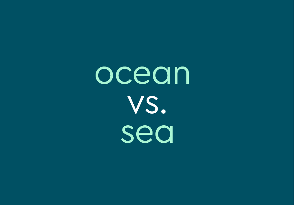 Ocean vs. Sea – What's The Difference?