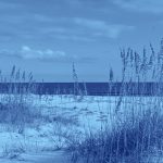 Buckle Up And Explore 13 US Regions Called “Belts”