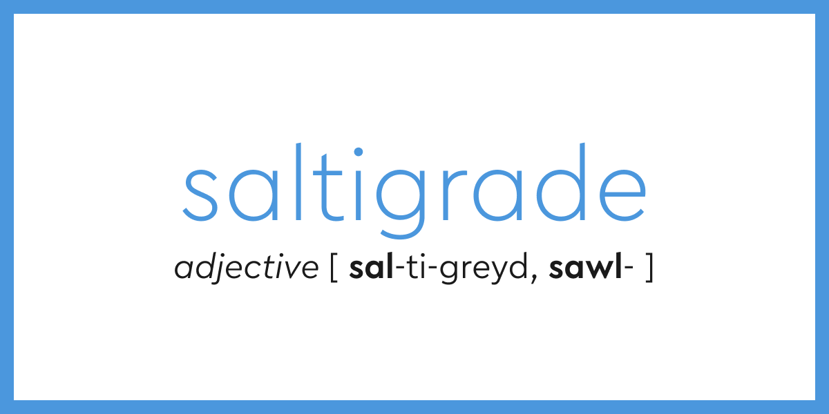 Word of the Day - saltigrade