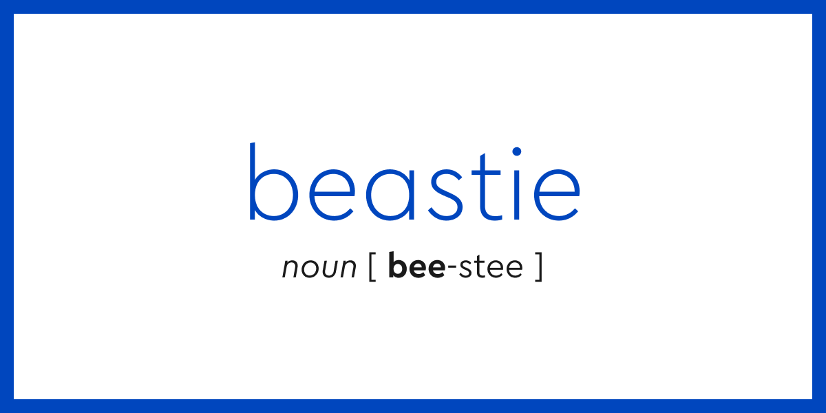 Word of the Day - beastie