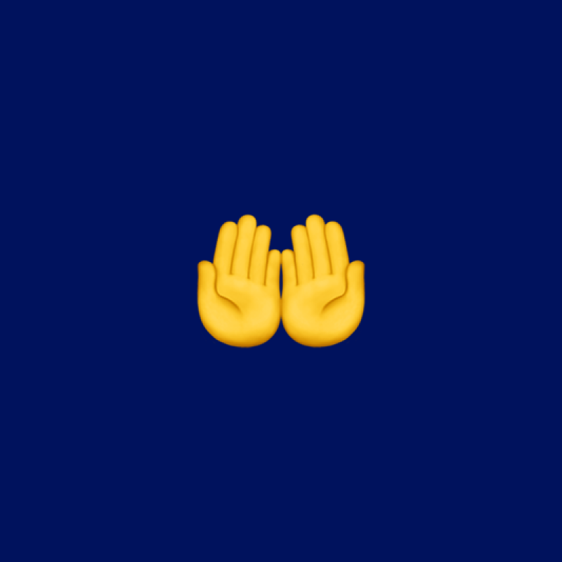🤲 Palms Up Together emoji Meaning