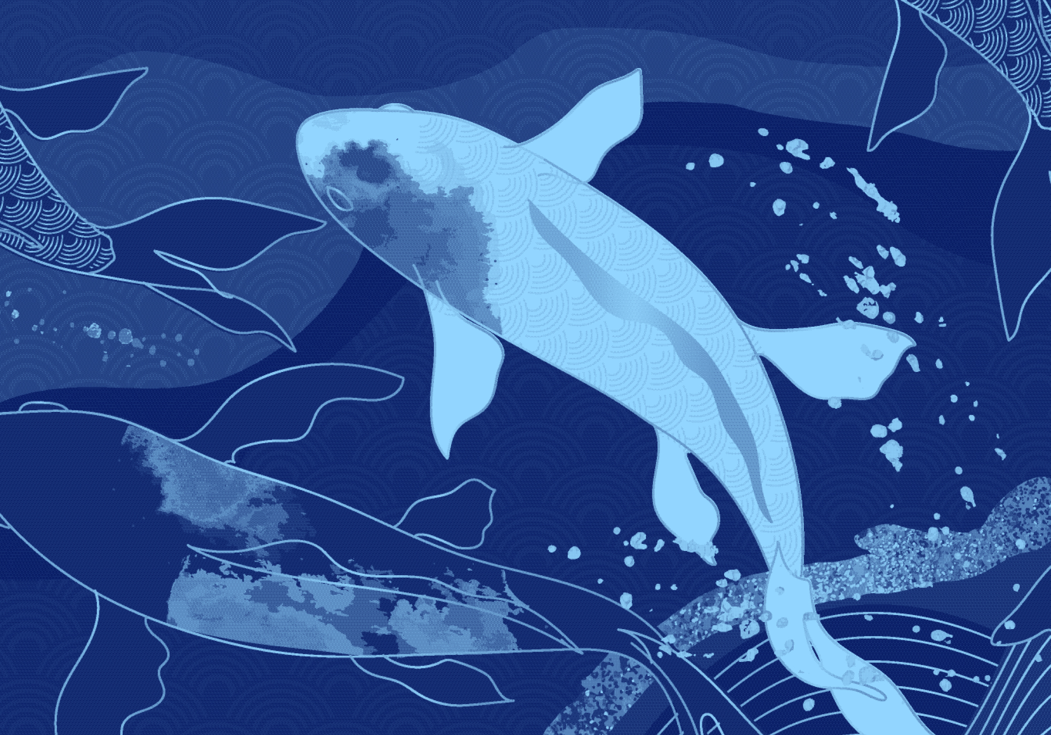 12 Japanese Words In English | Dictionary.com